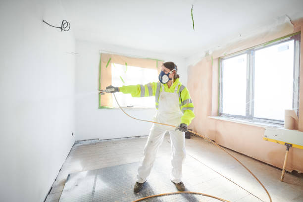 Best Mold Removal for HVAC Installations  in Monroe, MI