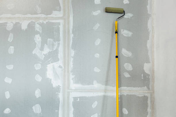 Best Attic Mold Removal  in Monroe, MI