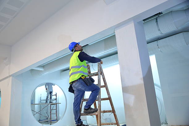 Best Asbestos and Lead Testing During Mold Inspection  in Monroe, MI
